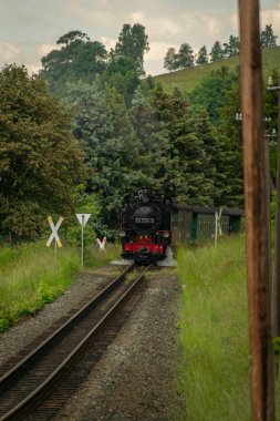 Almanya 'da Neudorf yakınlarında yaz gününde yolcularla birlikte buharlı tren.