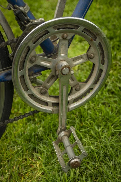 Dettaglio Della Vecchia Bicicletta Sporca Blu Verde Primavera Erba Giorno — Foto Stock