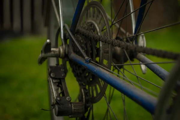 Yeşil Çimen Renginde Mavi Eski Kirli Bisikletin Ayrıntıları — Stok fotoğraf