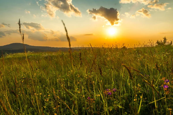 stock image Color evening meadow near Bozi Dar village with beautiful sunshine