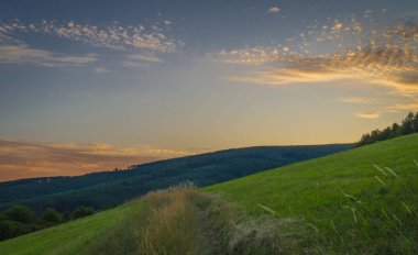 Slovakya 'da yaz mevsiminde Bile Karpaty Dağları' ndaki sınırın bir kısmında