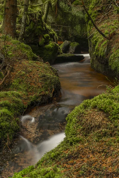 Vodopád Lesním Potoce Národním Parku Šumava Jaře — Stock fotografie