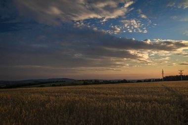 Günbatımında Roprachtice dağları yakınlarında yaz renk tahıl tarlası.