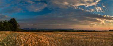 Günbatımında Roprachtice dağları yakınlarında yaz renk tahıl tarlası.