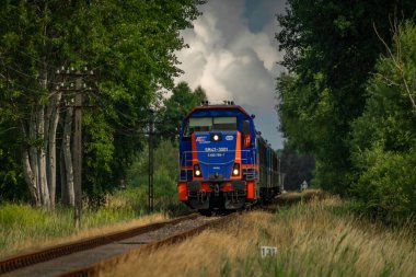 Leba Polonya yakınlarındaki Bohumin 'den Leba ve Hel' e hızlı yaz treni 07: 22 2023