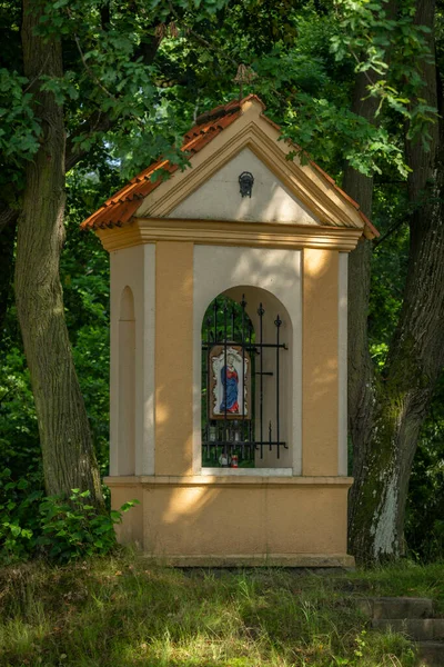Alte Steinerne Kapelle Grünem Sommer Frischem Wald Der Nähe Von — Stockfoto