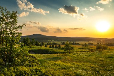 Color evening meadow near Bozi Dar village with beautiful sunset clipart