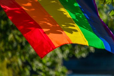 Prag 'ın gurur bayrağı Prag' ın göbeğinde yaz renkleri adasında