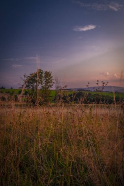 Dramatik gökyüzü ve ağaçla dolu renkli kırsal bölgede sakin bir gün batımı.