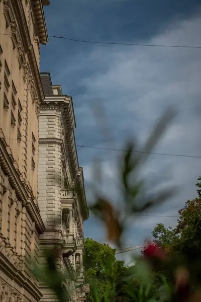 Yazın Wien 'de tarihi evleri olan sokaklar sıcak, taze bir sabah