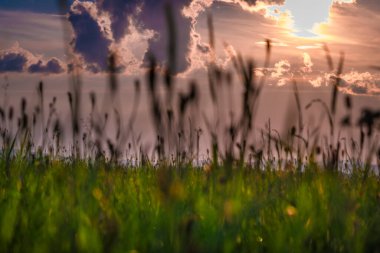 Günbatımı manzaralı koyu renkli çayır yaz mevsimi Krkonose dağlarında güzel güneş