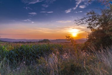 Günbatımı manzaralı koyu renkli çayır yaz mevsimi Krkonose dağlarında güzel güneş