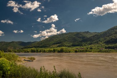 Wachau Vadisi Yazın sıcak güneşli bir gün Büyük yağmurlardan sonra kirli kahverengi yüksek su