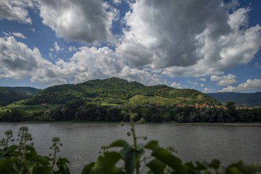 Wachau Vadisi Yazın sıcak güneşli bir gün Büyük yağmurlardan sonra kirli kahverengi yüksek su