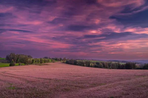 Pink and violet field after harvest and sky after sunset in Krkonose mountains
