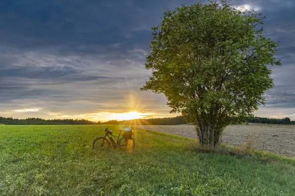 Tree alone and electric black bike in field with sunset in Austria evening