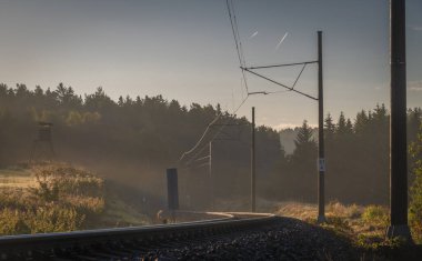 Çekçe 'den Avusturya' ya tren yolu yakınında yaz sabahı çiğ damlası sisi
