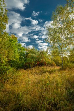 Vrbenske 'nin yakınındaki göletlerin rengarenk sonbahar ağaçları ve ıslak otlaklarla manzarası