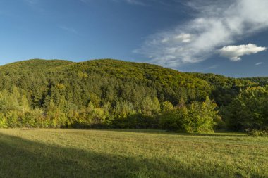 Strazovske tepelerindeki çayırlar ve tepeler sonbahar bulutlu, yeşil renklerle kara bir gün.