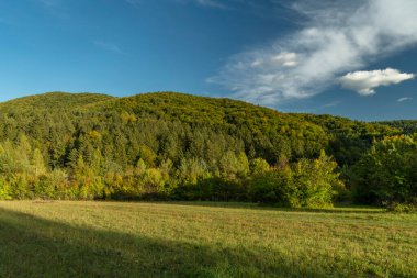 Strazovske tepelerindeki çayırlar ve tepeler sonbahar bulutlu, yeşil renklerle kara bir gün.