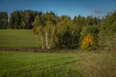 Roprachtice dağ köyü yakınlarında sonbahar manzarası için sıcak bir akşam manzarası