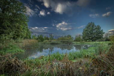 Stromovka parkının yanındaki küçük gölette sonbahar sabahı orman ve Bagr göleti var.