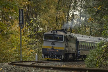 Bludov CZ 11 04 2023 'te sonbaharda küçük bir istasyon yakınında yolcu treni temiz renk günü