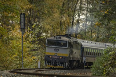 Bludov CZ 11 04 2023 'te sonbaharda küçük bir istasyon yakınında yolcu treni temiz renk günü