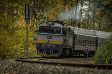 Bludov CZ 11 04 2023 'te sonbaharda küçük bir istasyon yakınında yolcu treni temiz renk günü