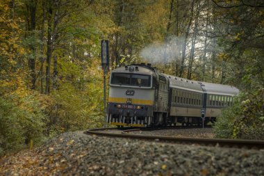 Bludov CZ 11 04 2023 'te sonbaharda küçük bir istasyon yakınında yolcu treni temiz renk günü