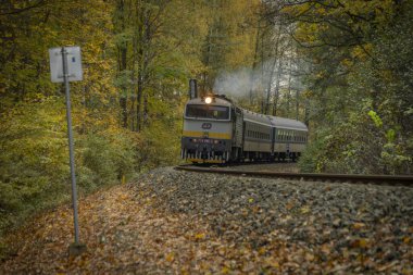 Bludov CZ 11 04 2023 'te sonbaharda küçük bir istasyon yakınında yolcu treni temiz renk günü