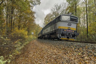 Bludov CZ 11 04 2023 'te sonbaharda küçük bir istasyon yakınında yolcu treni temiz renk günü