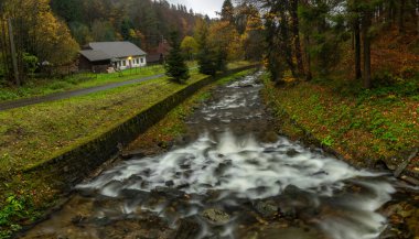 Kouty Nad Desnou yakınlarında yağmur sonrası Huciva Desna nehri.