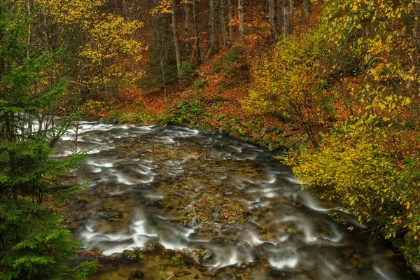 Kouty Nad Desnou yakınlarında yağmur sonrası Huciva Desna nehri.