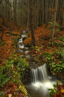 Sonbahar sabahları Ponikly şelalesinin yanındaki küçük dere.