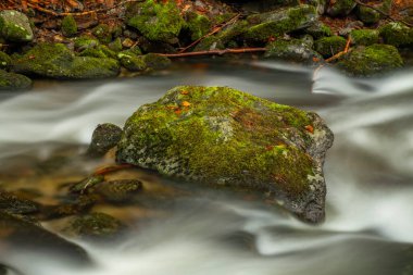 Kouty Nad Desnou yakınlarında yağmur sonrası Huciva Desna nehri.