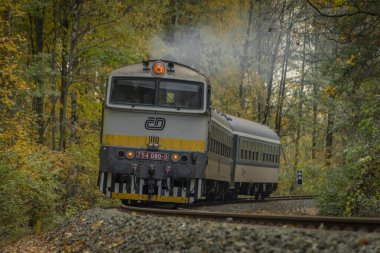 Bludov CZ 11 04 2023 'te sonbaharda küçük bir istasyon yakınında yolcu treni temiz renk günü