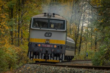 Bludov CZ 11 04 2023 'te sonbaharda küçük bir istasyon yakınında yolcu treni temiz renk günü