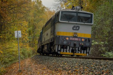 Bludov CZ 11 04 2023 'te sonbaharda küçük bir istasyon yakınında yolcu treni temiz renk günü
