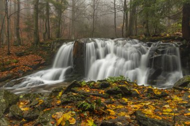 Sel suyuyla Ponikly Şelalesi Sonbahar sisli sabahında her gece yağmur yağar