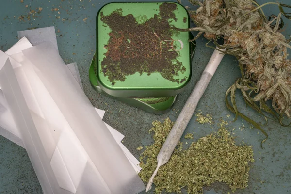 Rolling white papers with green dry weed and joint with metallic grinder