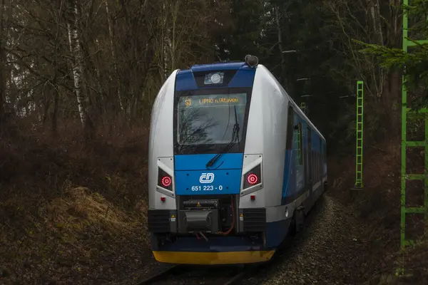 Rybnik CZ 01 06 2024 'te Avusturya sınırı yakınlarındaki modern yeni elektrikli tren.