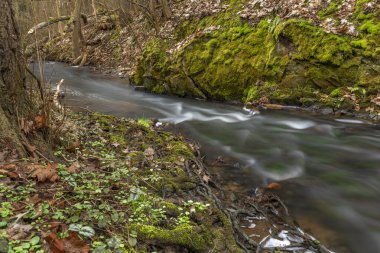 Prag 'da kış akşamında, su basmış taze bir dere.