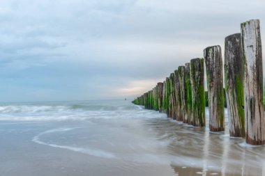 İlkbaharda Domburg yakınlarında bir sahil. Taze bir sabah. Bulutlu, renkli bir gökyüzü.