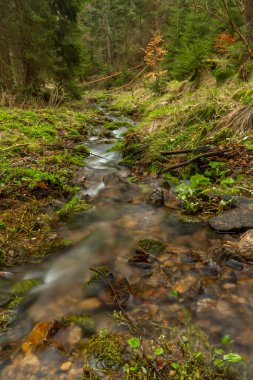 Bahar mevsiminde Veserice Deresi. Jachymov kaplıca kasabasının yakınlarında taze bir sabah.