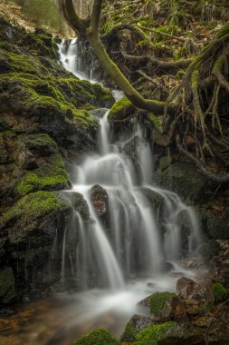 Bahar mevsiminde Veserice Deresi. Jachymov kaplıca kasabasının yakınlarında taze bir sabah.