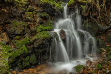 Bahar mevsiminde Veserice Deresi. Jachymov kaplıca kasabasının yakınlarında taze bir sabah.