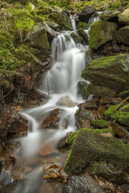 Bahar mevsiminde Veserice Deresi. Jachymov kaplıca kasabasının yakınlarında taze bir sabah.