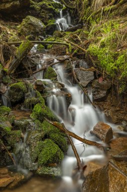 Bahar mevsiminde Veserice Deresi. Jachymov kaplıca kasabasının yakınlarında taze bir sabah.