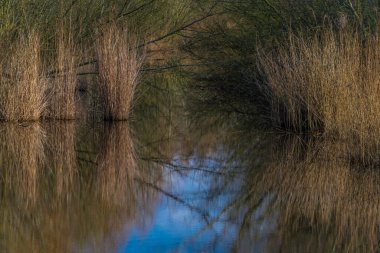 Şehir parkında, yeşil çimlerin üzerinde, başında güneş olan bir göl.
